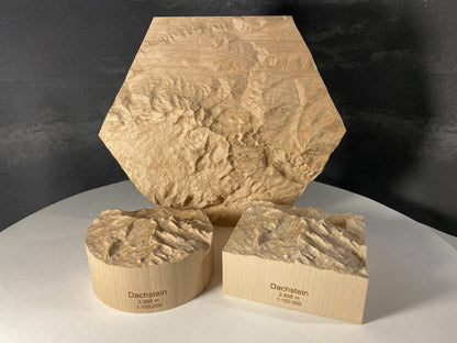 SUMMIT – Bergrelief Hoher Dachstein