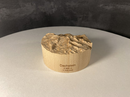 SUMMIT – Bergrelief Hoher Dachstein