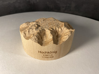 SUMMIT – Bergrelief Hochkönig - TreeDimension