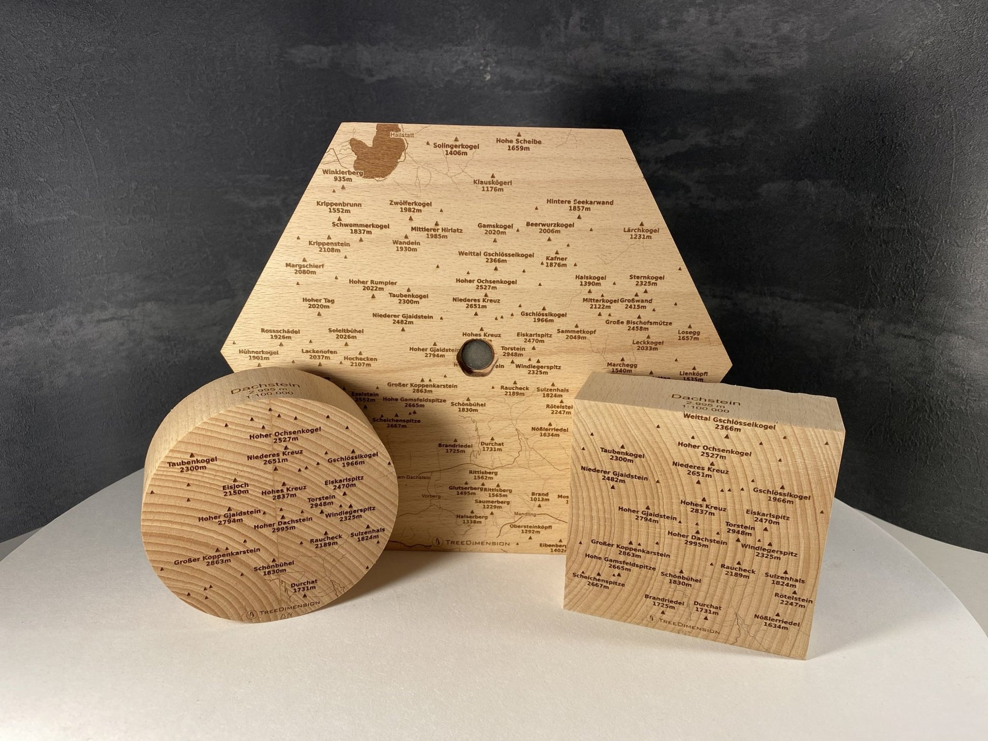 SUMMIT – Bergrelief Hoher Dachstein - TreeDimension