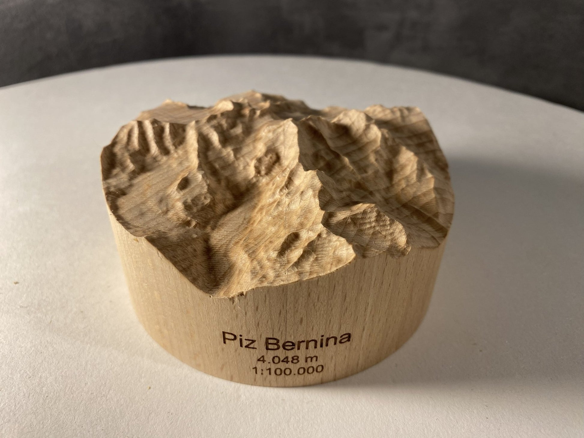 SUMMIT – Bergrelief Piz Bernina - TreeDimension