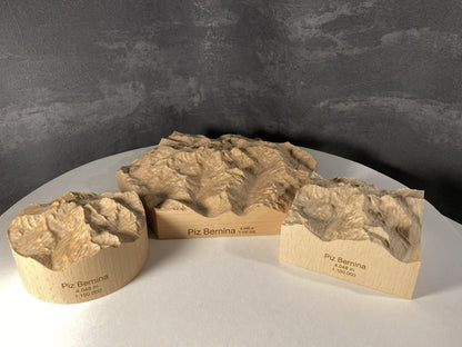 SUMMIT – Bergrelief Piz Bernina - TreeDimension