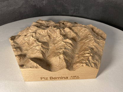 SUMMIT – Bergrelief Piz Bernina - TreeDimension