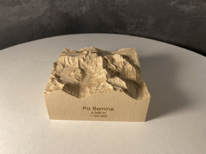 SUMMIT – Bergrelief Piz Bernina - TreeDimension